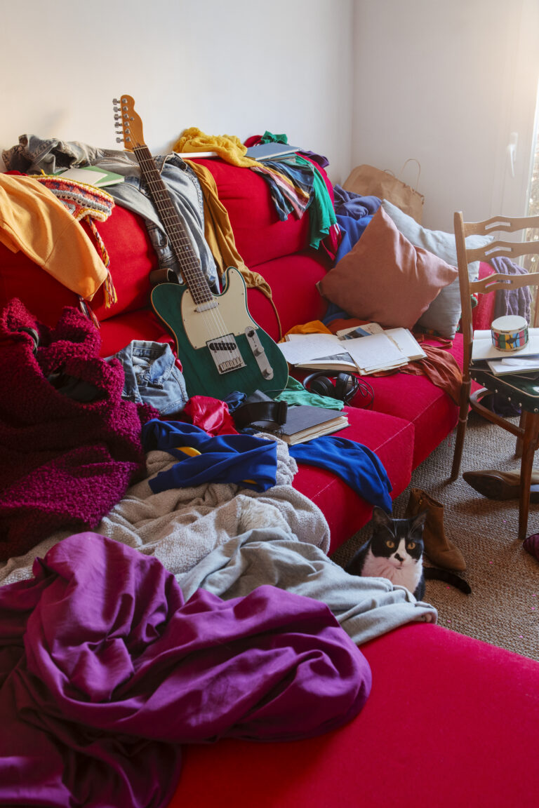 messy entrümpelung wohnung wohnzimmer